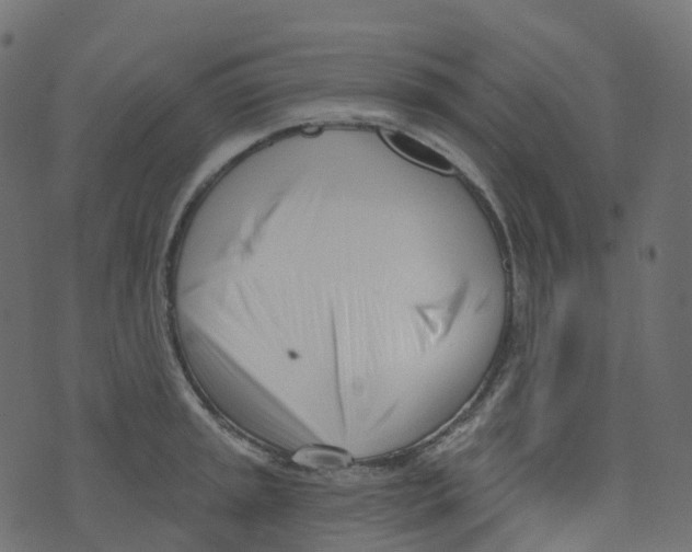 X0000073461045200608251727