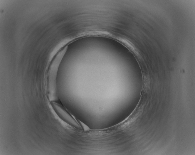 X0000073461046200608251727