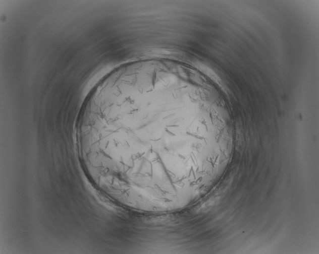 X0000073461047200608251727