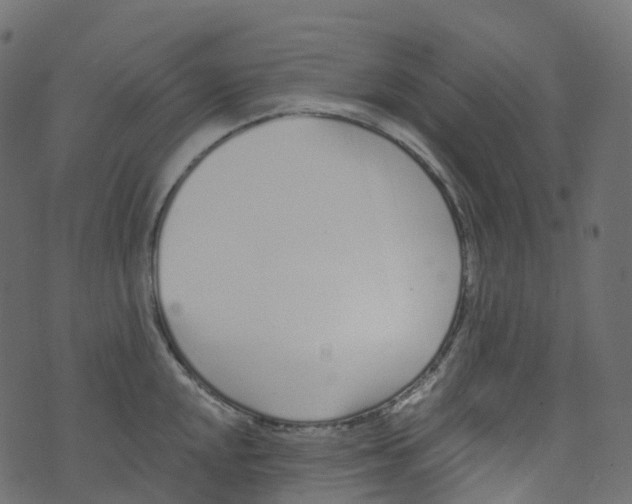 X0000073461048200608251727