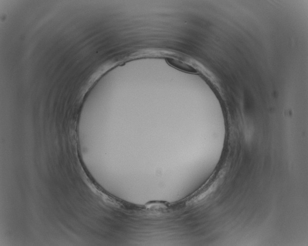 X0000073461049200608251727