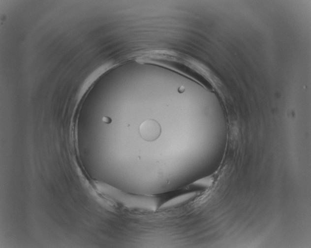 X0000073461050200608251727