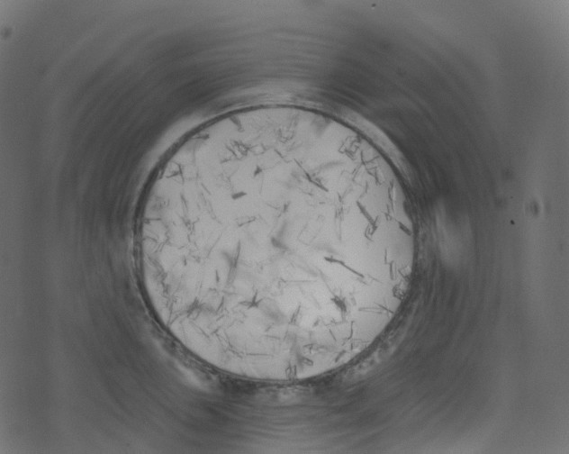 X0000073461051200608251727