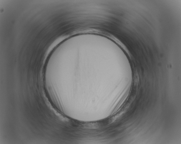 X0000073461053200608251727