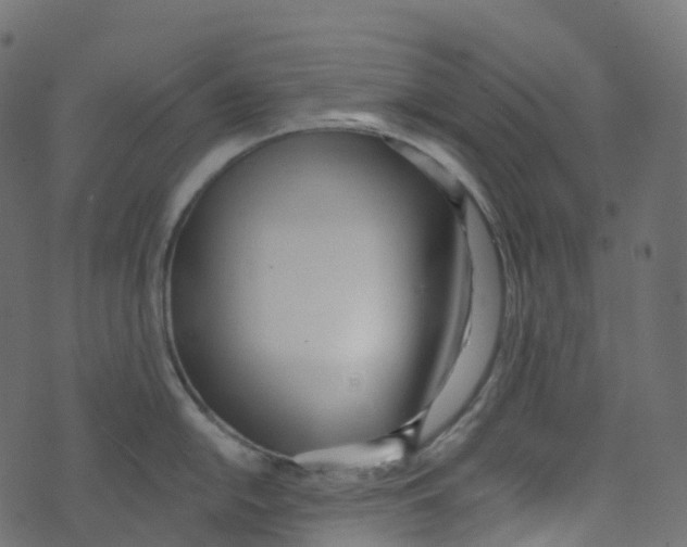 X0000073461054200608251727