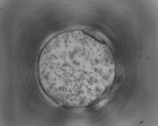 X0000073461055200608251727