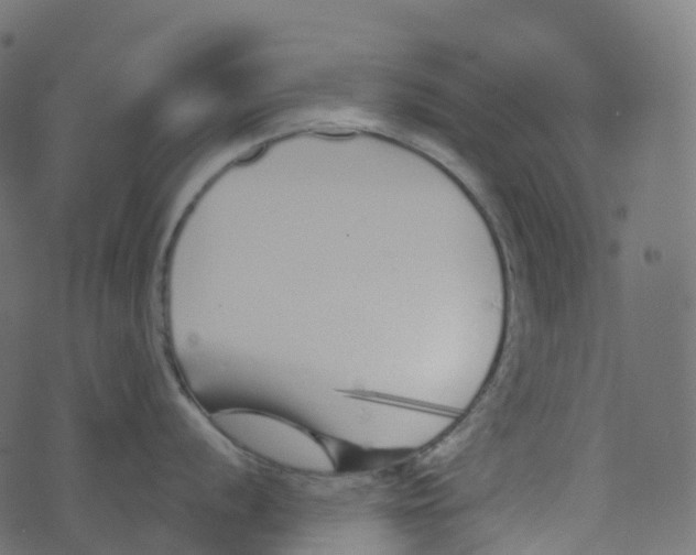 X0000073461056200608251727