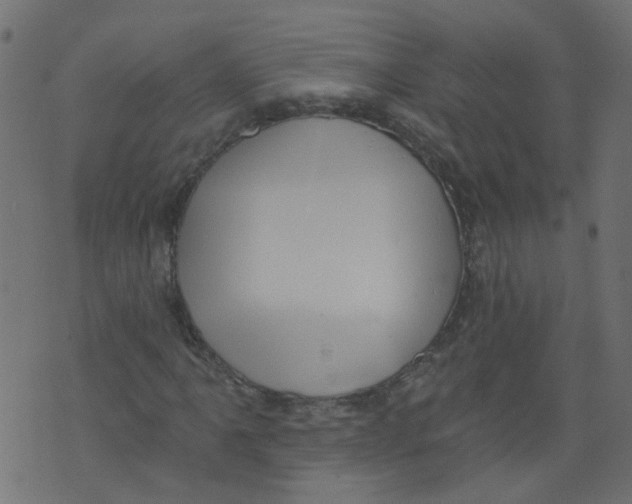 X0000073461061200608251726