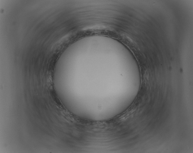 X0000073461062200608251726