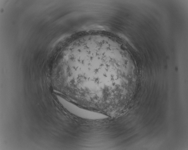 X0000073461063200608251726