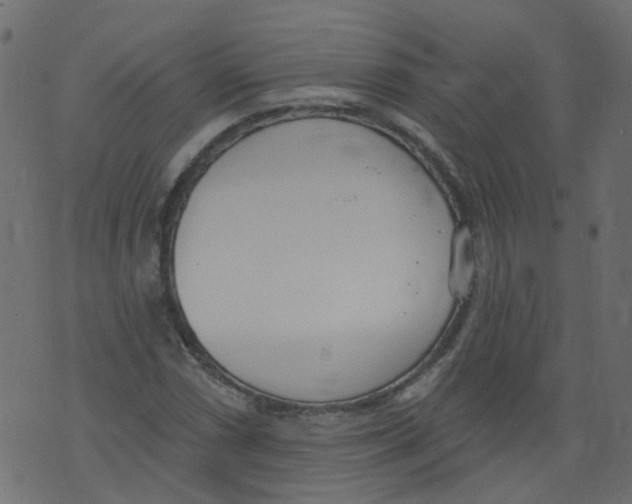 X0000073461066200608251726