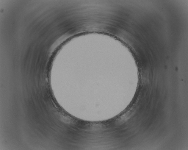 X0000073461070200608251726