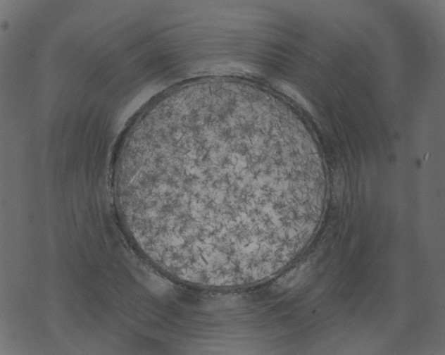 X0000073461071200608251726