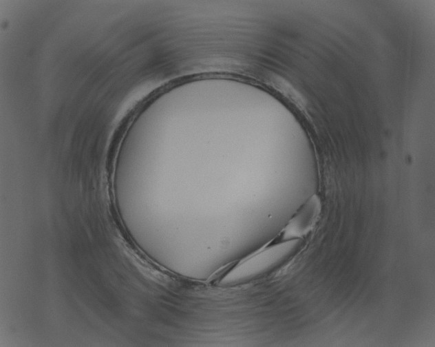 X0000073461072200608251726