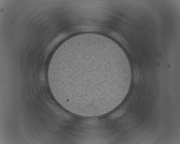 X0000073461074200608251726