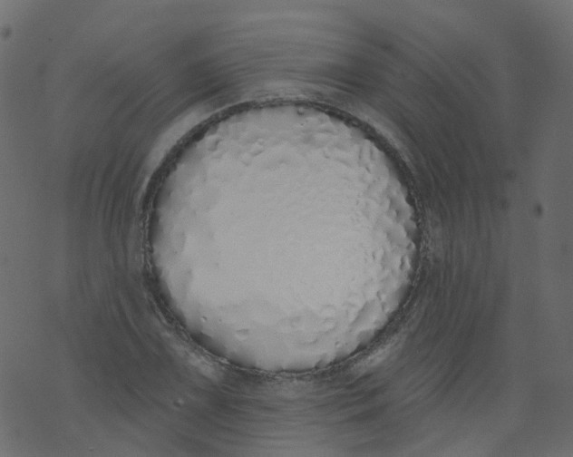 X0000073461075200608251726