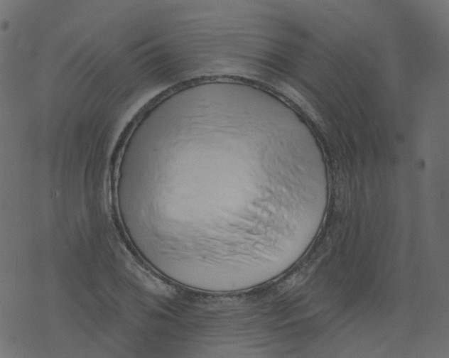 X0000073461076200608251726