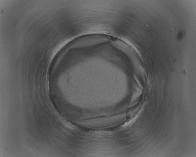 X0000073461077200608251726