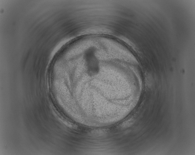 X0000073461078200608251726