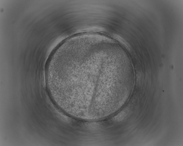 X0000073461079200608251726