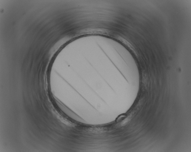 X0000073461082200608251726