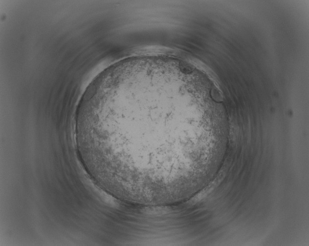 X0000073461083200608251726