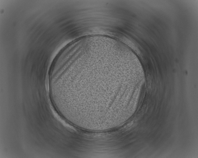 X0000073461084200608251726