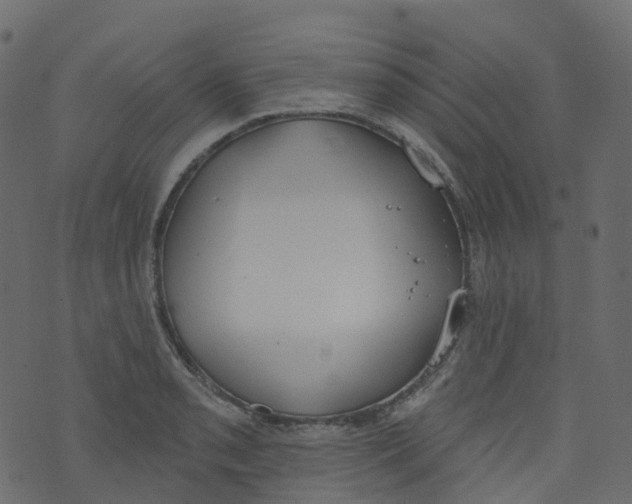 X0000073461085200608251726