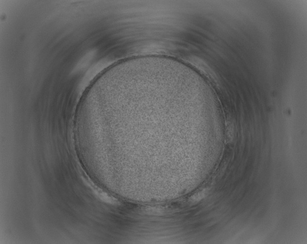 X0000073461086200608251726