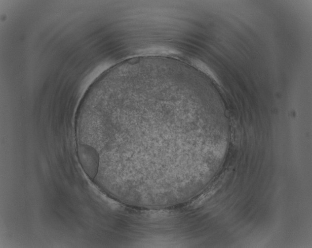 X0000073461087200608251725