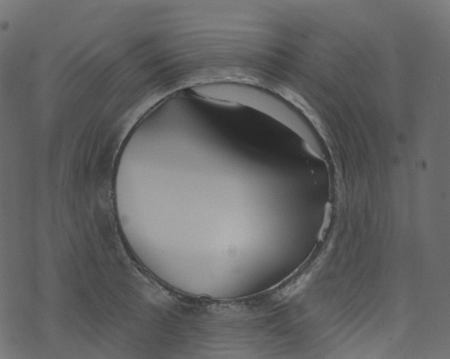 X0000073461089200608251725