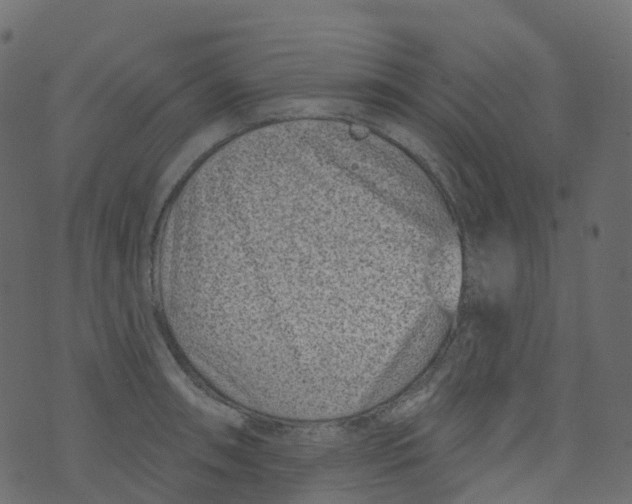 X0000073461090200608251725