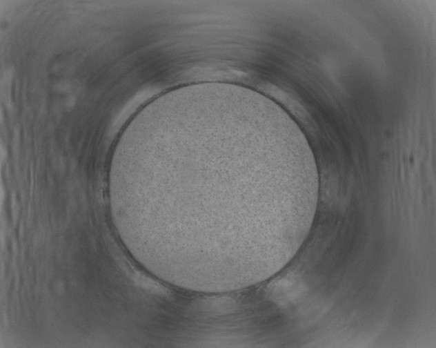 X0000073461094200608251725