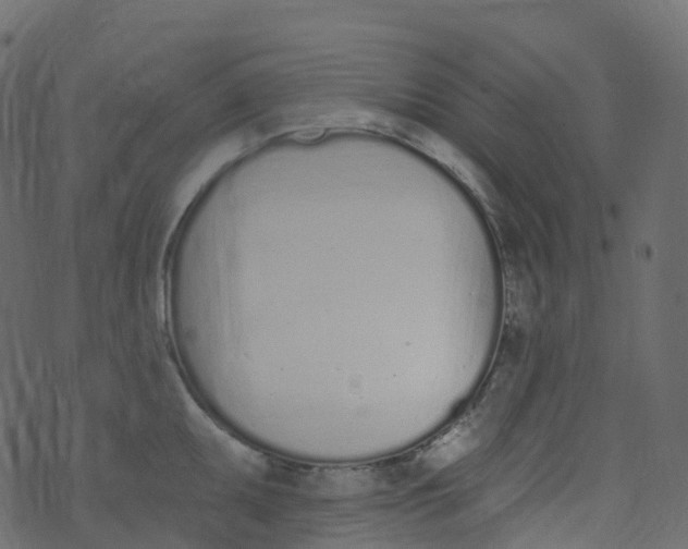 X0000073461095200608251725