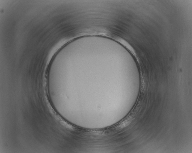 X0000073461096200608251725