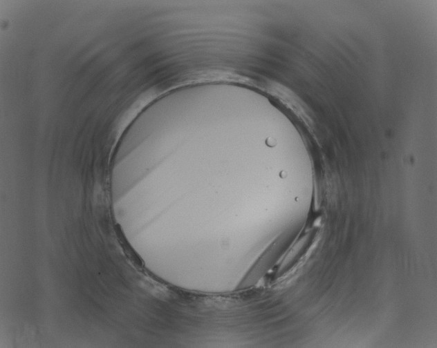 X0000073461097200608251725