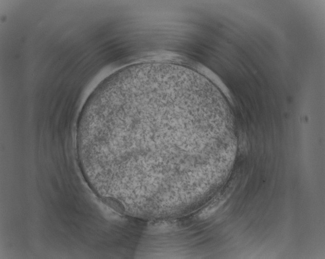 X0000073461099200608251725