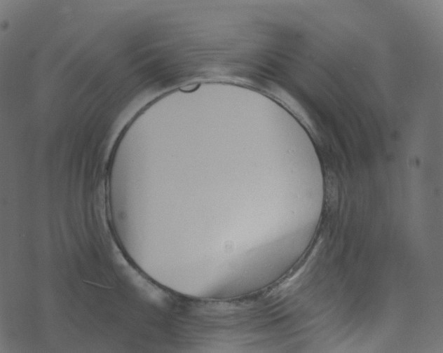 X0000073461100200608251725