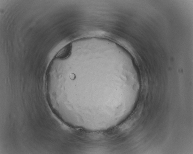 X0000073461103200608251725