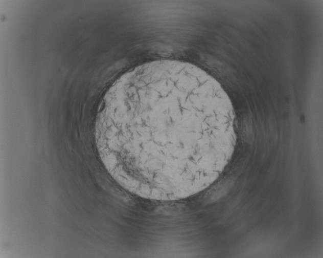 X0000073461105200608251724