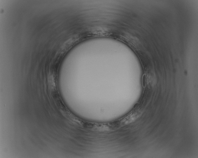 X0000073461106200608251724