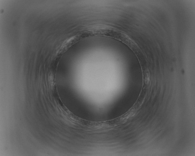 X0000073461108200608251724