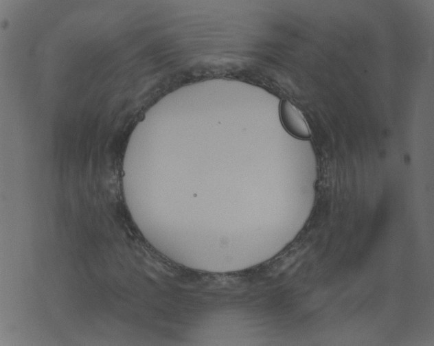 X0000073461109200608251724