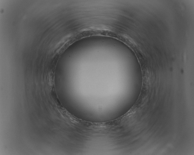 X0000073461110200608251725