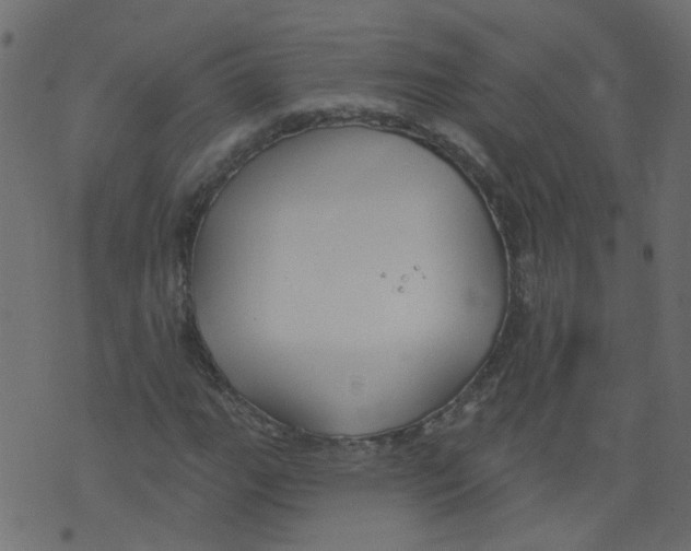 X0000073461111200608251725