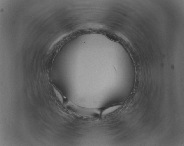 X0000073461112200608251725