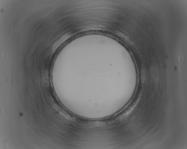 X0000073461113200608251725