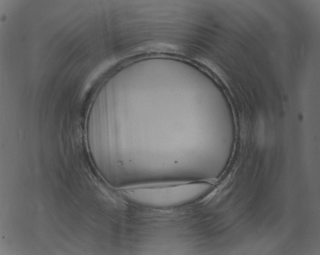 X0000073461115200608251725