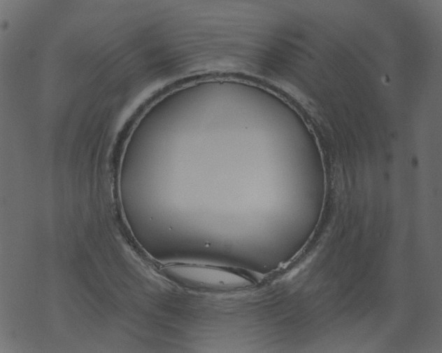 X0000073461118200608251725