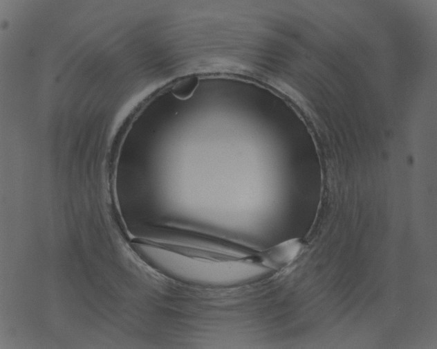 X0000073461120200608251725